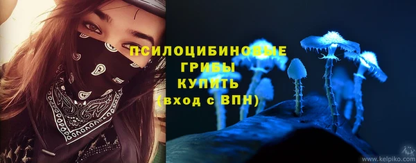СК Артём
