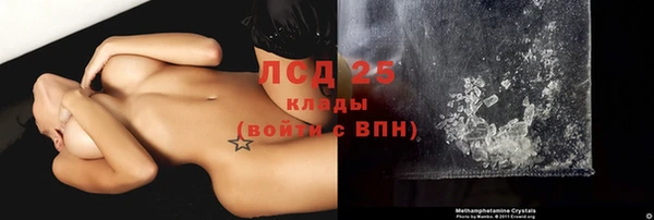 шишки Медвежьегорск