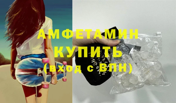 шишки Медвежьегорск