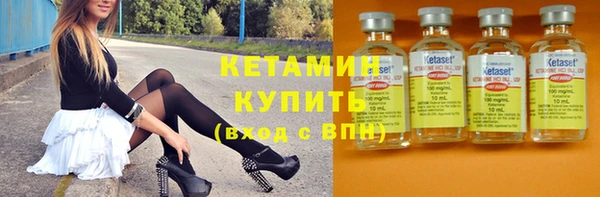 шишки Медвежьегорск